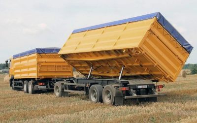 Услуги зерновозов для перевозки зерна - Владивосток, цены, предложения специалистов